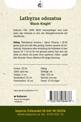 Luktärt, Black Knight