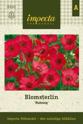 Lin, Blomster-, Rubrum