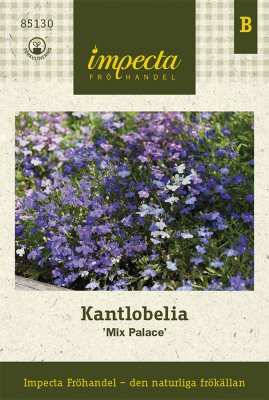 Lobelia, Kant-, Mix Palace