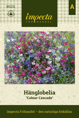 Lobelia, Häng-, Colour Cascade