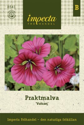 Malva, Prakt-, Vulcan