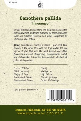 Vitt Doftnattljus, 'Innocence'