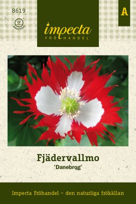 Vallmo, Fjäder-, 'Danebrog'