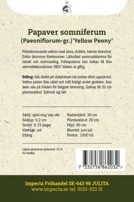 Vallmo, Pion-, Yellow Peony