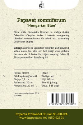 Vallmo, Enkel, 'Hungarian Blue'