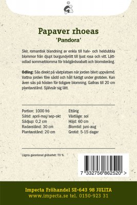 Vallmo, Korn-, Pandora