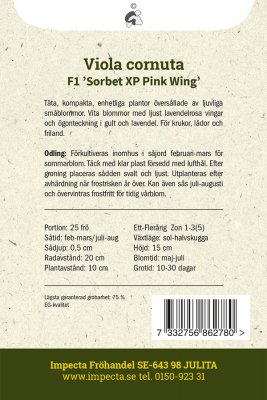 Pensé, Mini-, F1 'Sorbet XP Pink Wing'