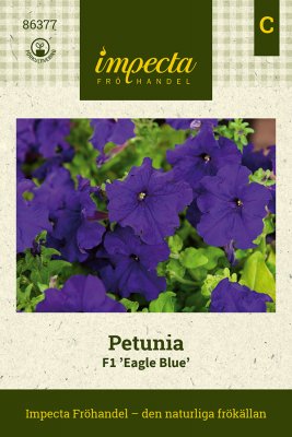 Petunia, F1 Eagle Blue