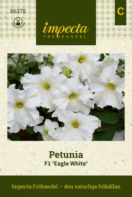 Petunia, F1 Eagle White