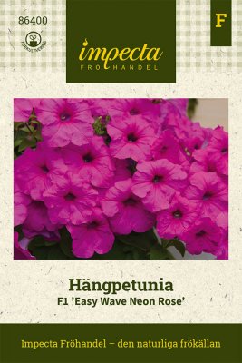 Petunia, Häng-, Easy Wave Neon Rose F1