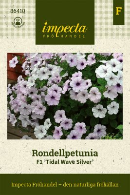 Petunia, Rondell-, F1 Tidal Wave Silver