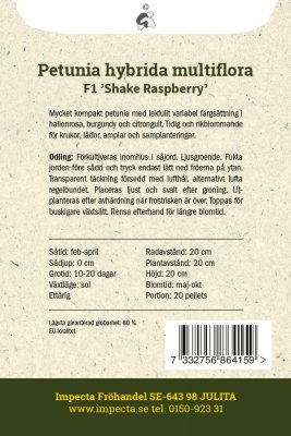 Petunia F1 Shake Raspberry