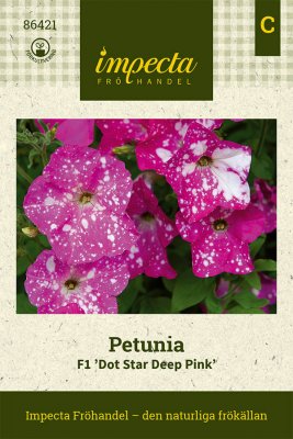 Petunia, Dot Star Deep Pink F1