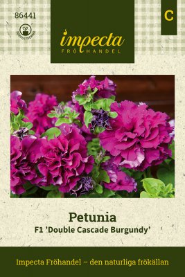 Petunia, Double Cascade Burgundy F1