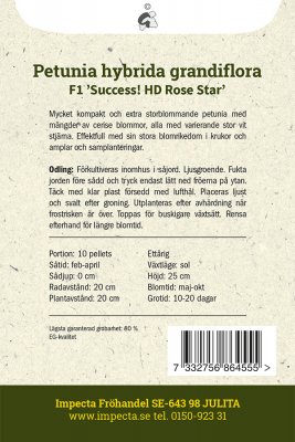 Petunia, F1 'Success! HD Rose Star'
