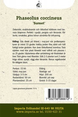 Böna, Rosen-, 'Sunset'