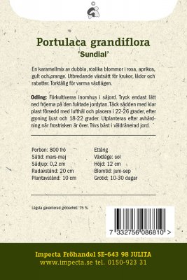 Portlak, Prakt-, Sundial