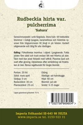 Rudbeckia, Sommar-, 'Sahara'