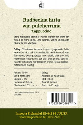 Rudbeckia, Sommar-, Cappuccino
