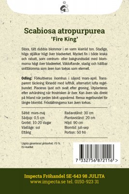 Praktvädd, Fire King