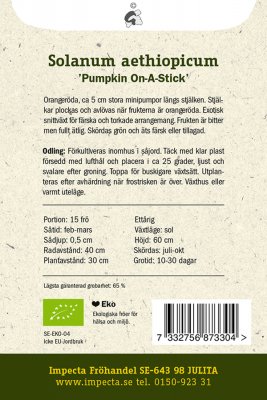 Röd Aubergin, 'Pumpkin On-A-Stick', Ekologisk