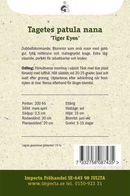 Tagetes, Sammets-, 'Tiger Eyes'