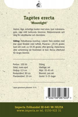 Tagetes, Stor, Moonlight