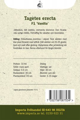 Tagetes, Stor, 'Vanilla' F1