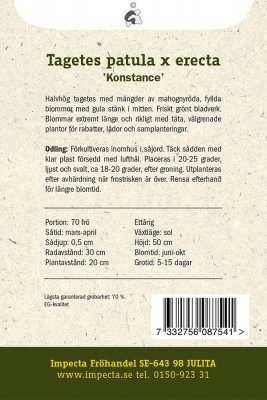 Tagetes, Stor, Konstance