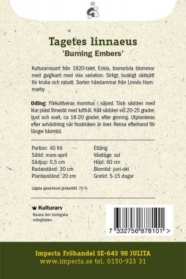 Tagetes, Linné-, 'Burning Embers'