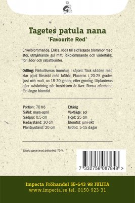 Tagetes, Sammets-, 'Favourite Red'