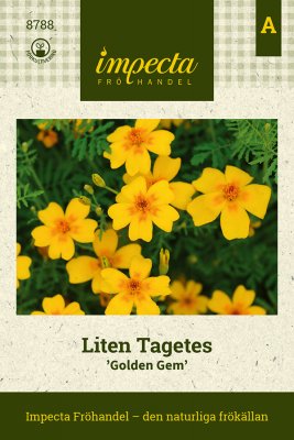Tagetes, Liten Golden Gem