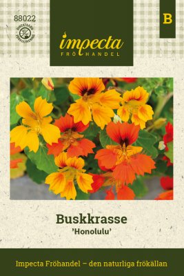 Krasse, Busk-, Honolulu