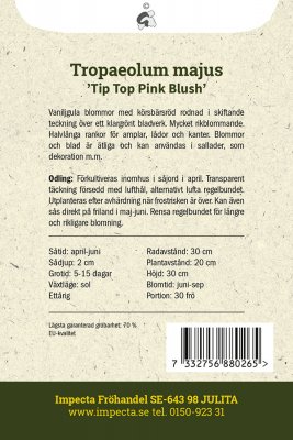 Krasse, Busk-,Tip Top Pink Blush