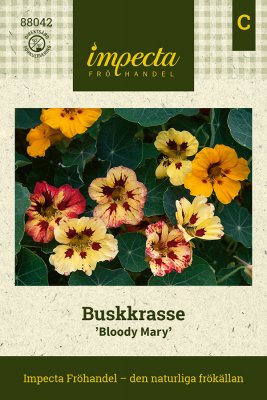 Krasse, Busk-, Bloody Mary