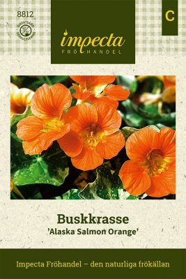 Krasse, Busk-, Alaska Salmon Orange