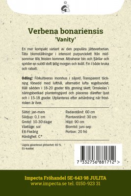 Verbena, Jätte-, Vanity