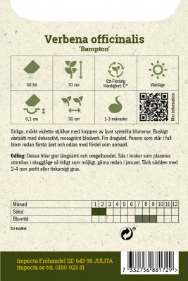 Järnört Bampton