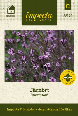 Järnört Bampton