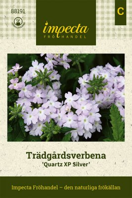 Verbena, Trädgårds-, Quartz XP Silver