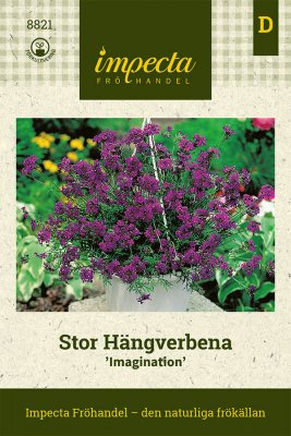 Verbena, Häng-, Imagination