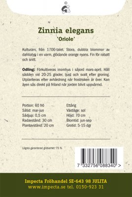 Zinnia, 'Oriole'