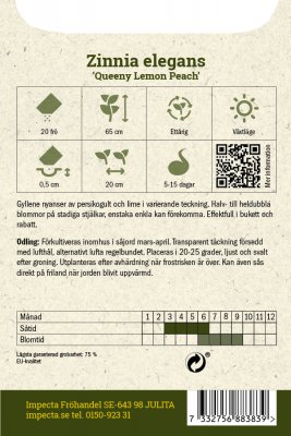 Zinnia, Queeny Lemon Peach