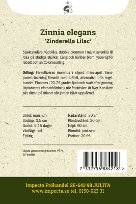 Zinnia, Zinderella Lilac