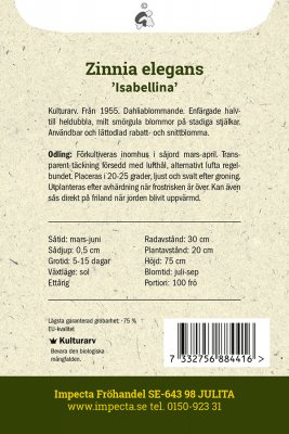 Zinnia, Isabellina