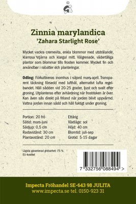 Zinnia, Maryland-, Zahara Starlight Rose