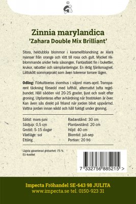 Zinnia, Maryland-, Zahara Double Mix Brilliant