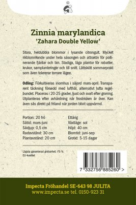 Zinnia, Maryland-, Zahara Double Yellow