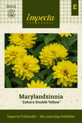 Zinnia, Maryland-, Zahara Double Yellow