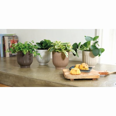 Kruka Mix 13xH13,5cm